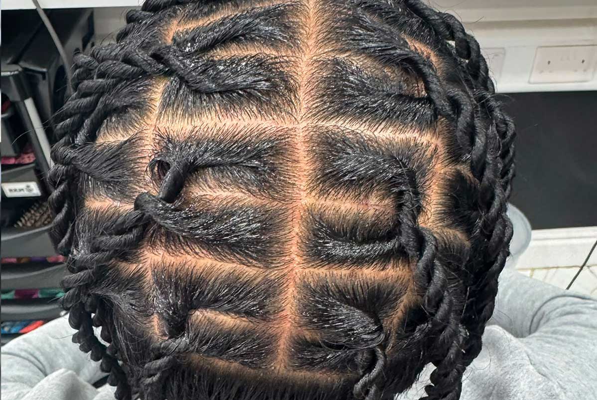 Protective twist hairstyle